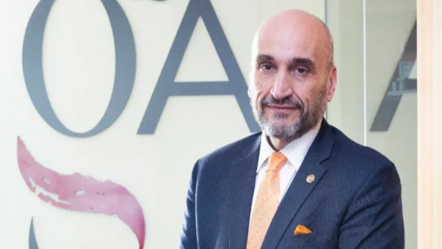 Fernando Ollero de Icogam: constituir una sociedad es muy lento y costoso en España