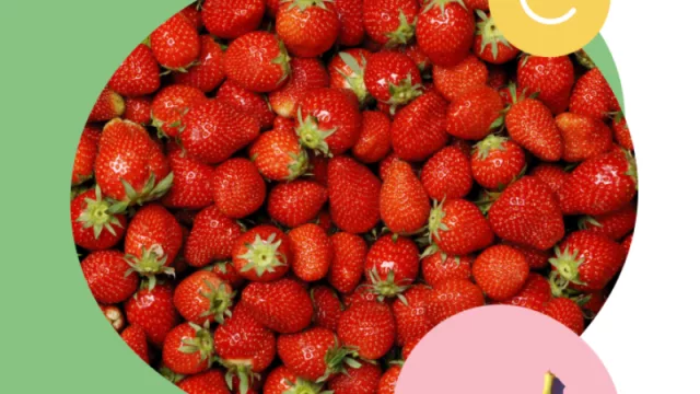 La startup catalana Bio2Coat crea embalajes comestibles para alimentos que evitan el uso del plástico 