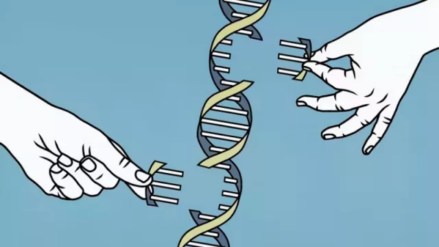 El código del genoma humano por fin está completo