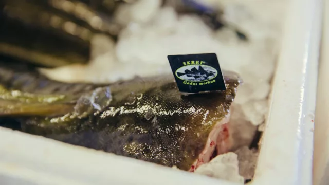 No sólo en restaurantes: el skrei también ingresa a la mesa familiar en España