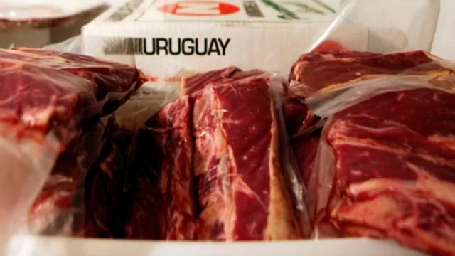 Arrancando el año con el 31% de crecimiento (exportaciones UY de enero sumaron US$ 883 millones)