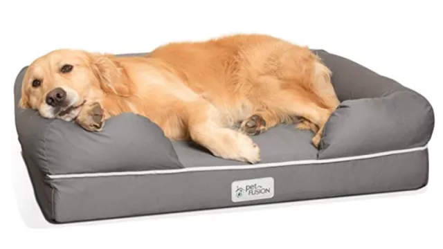 Como perros y gatos: las búsquedas relacionadas a mascotas ya son el 1% del total en Amazon (en 40% de los hogares hay una)