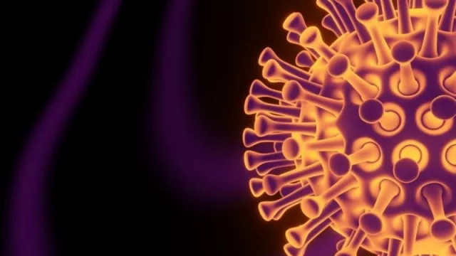 Las comunidades autónomas han notificado este lunes al Ministerio de Sanidad 214.619 nuevos casos de COVID-19, 23.311 de ellos diagnosticados en las últimas 24 horas. 