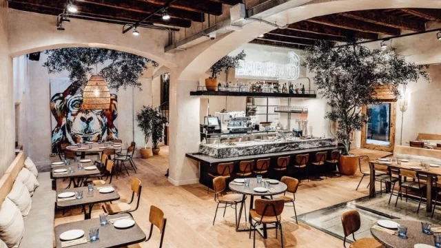 Empieza tu viaje por la gastronomía en Bar Mono (cocina ininterrumpida, abanico de propuestas y todo en Barcelona) 