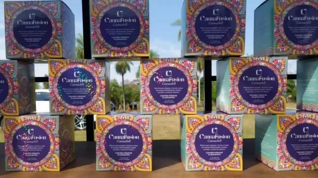 Cannafusion innova con tés a base de cannabis no psicoactivo (ya negocia exportar)