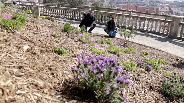 Malgrat de Mar acoge el primer bosque de mariposas de Cataluña (cuidando el ecosistema y generando espacios de visita y turismo)