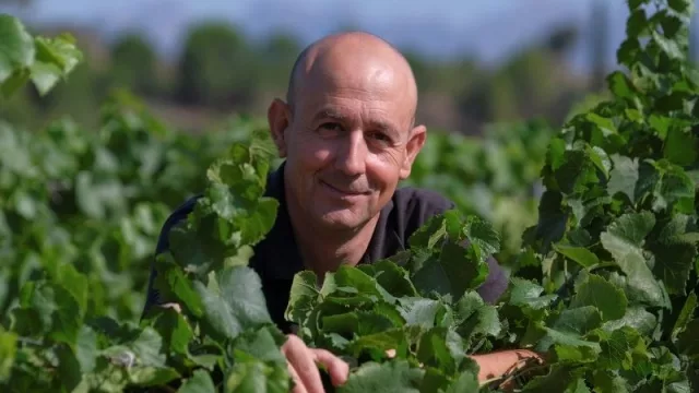 ‘In vino veritas’: Juvé & Camps cumple 100 años vendimiando (y esta cosecha de calidad extraordinaria)