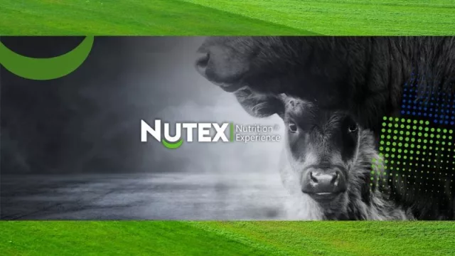 Regresa a Uruguay la empresa de nutrición animal Teknal (con US$ 2.5 millones)