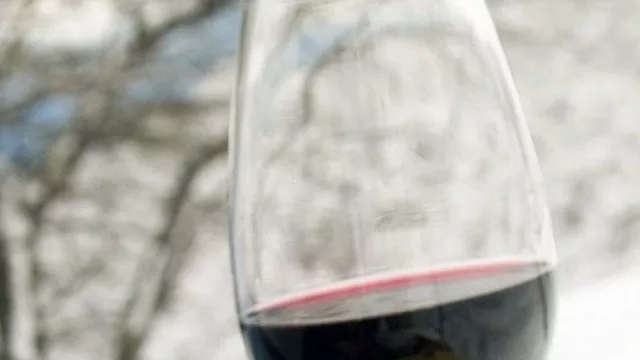 Neuquén continúa trabajando para proteger la marca “Patagonia argentina”