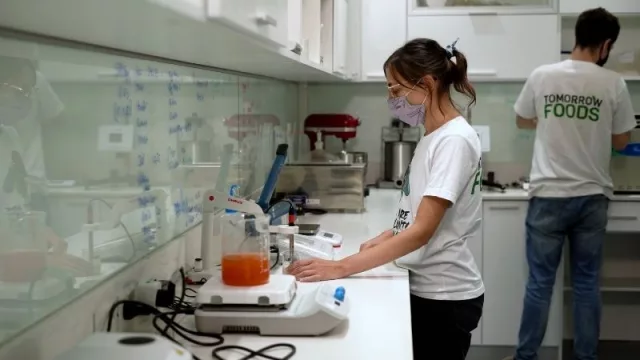 Tomorrow Foods hace punta en proteínas vegetales para la industria de alimentos y bebidas 