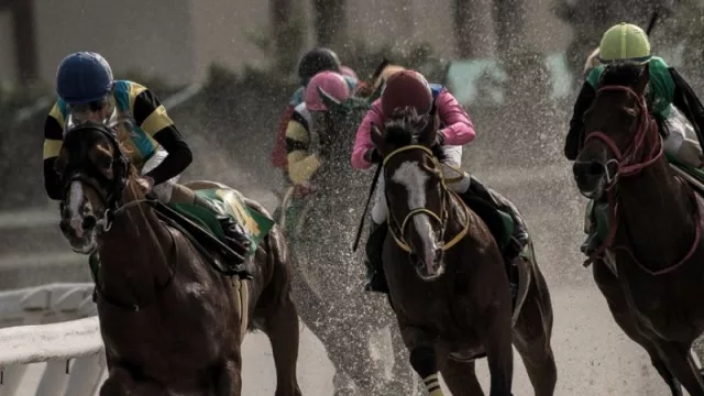 Cómo lavan dinero las cuatro grandes organizaciones del narco en México