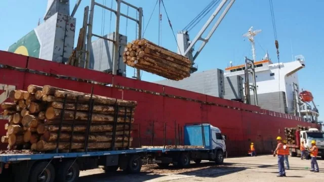 Un trimestre de exportaciones al alza (madera, carne bovina, celulosa y trigo hacen punta)