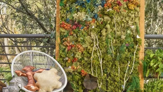 Fotos: César Alcázar