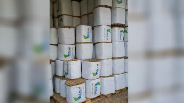 Las 15 pymes cordobesas que lograron su primera exportación en pandemia (desde fardos de alfalfa hasta software)