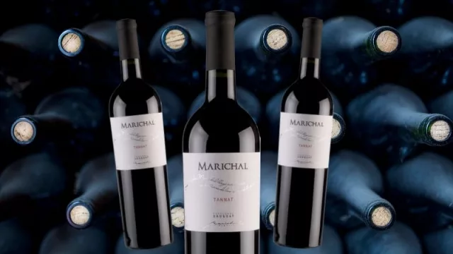 El Tannat Marichal entre los mejores 100 vinos del mundo (y se viene la edición limitada por $ 700)