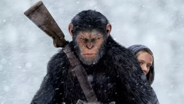 ¿Sería posible mejorar las capacidades cognitivas de los chimpancés?