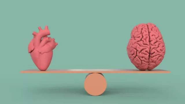 Razón y emoción: así se capta de manera inteligente a un votante