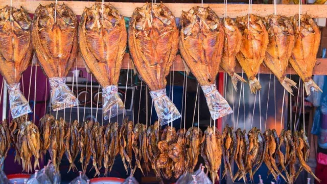 En Cataluña “se corta el Bacalao” (Iceland Seafood invierte 3 millones de euros para ampliar su planta en Viladecavalls)