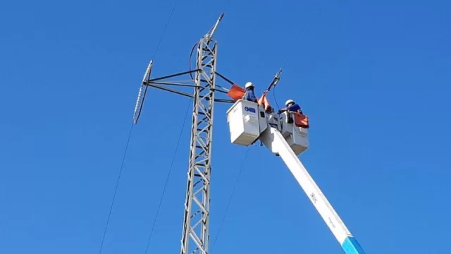Endesa modifica 55 soportes de líneas eléctricas en Alt Penedès para salvaguardar la avifauna