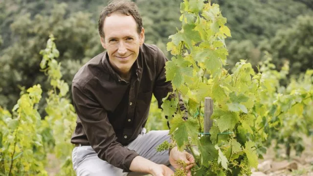 Familia Torres nombrará a Miquel Torres Maczassek como presidente