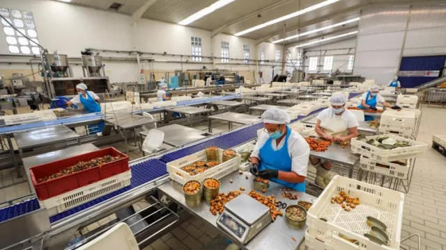 Estrategia e innovación, claves en el desarrollo de la industria conservera gallega