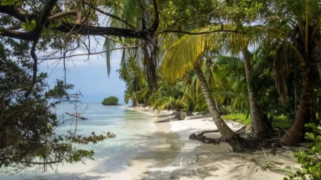 Veranear con la familia empresaria aumenta el riesgo de conflictos en la empresa familiar