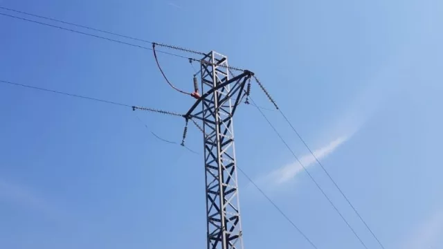 La Generalitat de Cataluña pide a Endesa medidas para evitar que cigüeñas mueran electrocutadas