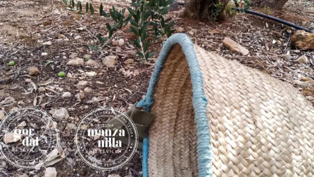 Andalucía resuelve registrar la 'marca' Manzanilla de Sevilla tras el conflicto con Extremadura