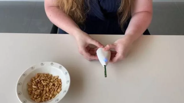 AllerDetect es el proyecto ganador de la 7ª edición del ‘Premio Ideas Innovadoras Isabel P. Trabal’ de la Fundación Caja Ingenieros