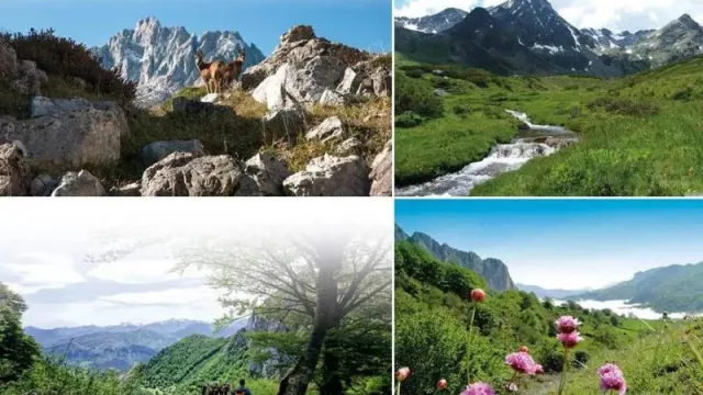 14 rutas de montaña para explorar la Comarca de Liébana: secretos naturales para los amantes del senderismo