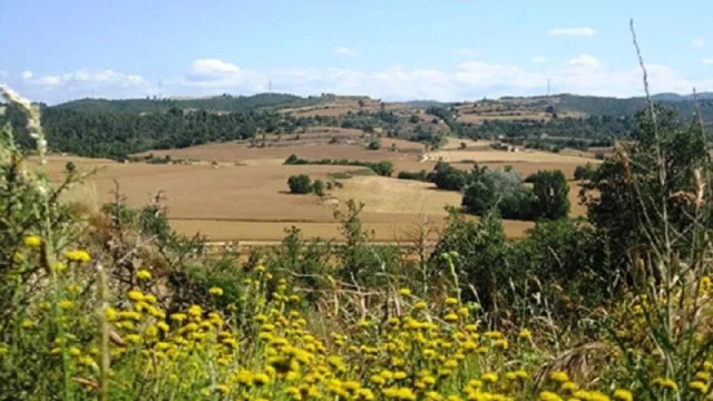 El Govern catalán destina 6,6 millones en ayudas a explotaciones agrarias por la sequía