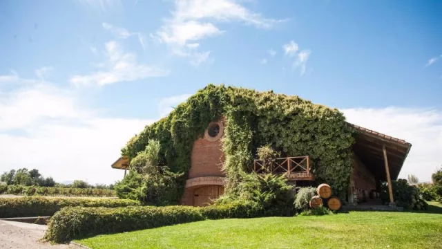 La asociación bodeguera IWCA lanza una calculadora de emisiones para bodegas en América Latina