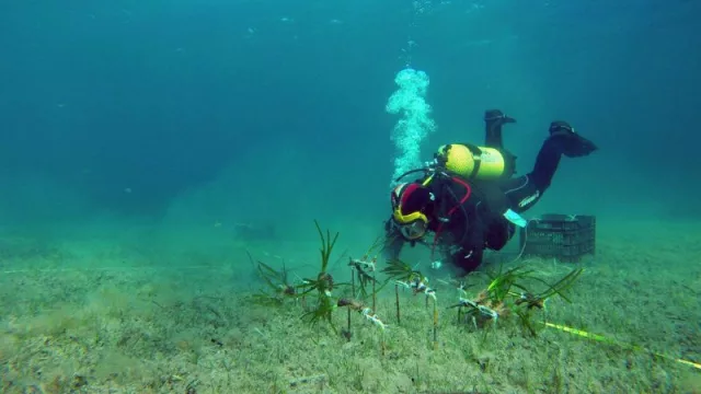 Redeia estima en 51 millones de euros el impacto generado con su Estrategia de Impacto Integral en 2024