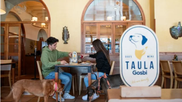 El hotel dogfriendly más espectacular del Pirineo está en Vall de Núria