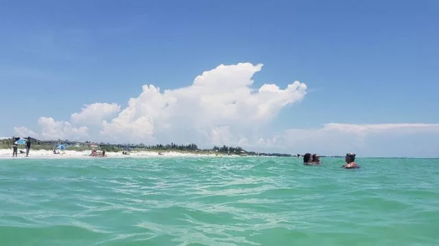 ¿Por qué Coquina Beach es el destino más bello para visitar en Florida y EEUU en 2025? (seguro no lo conocías)