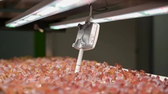 Food 4 Future anticipa el futuro de la alimentación: estas son las 10 tendencias que están transformando el sector en 2025