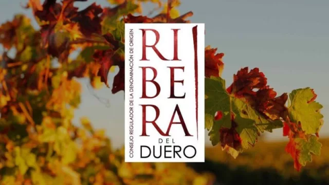 Vino, tradición y cultura: la D.O. Ribera del Duero celebra la VIII edición de su gran fiesta de la vendimia