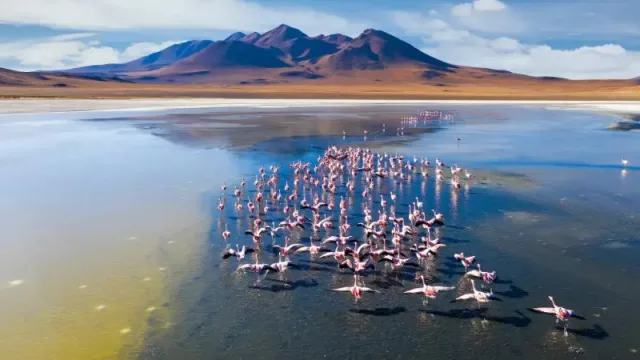 Cinco viajes para cinco despedidas de verano inolvidables