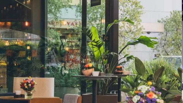 Las 2 notas más leídas de esta sección en 2025