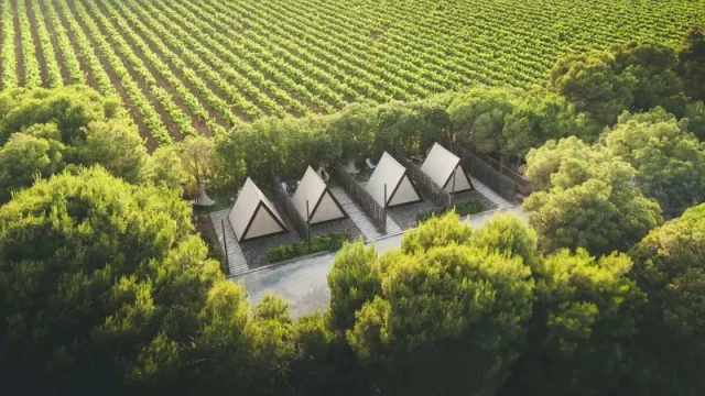 HolaCamp revoluciona la gestión del camping con un modelo de franquicia orientado a impulsar la profesionalización del camping independiente