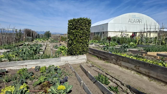 DHL Supply Chain y Fundación A LA PAR inauguran un huerto corporativo solidario para impulsar la inclusión y la sostenibilidad