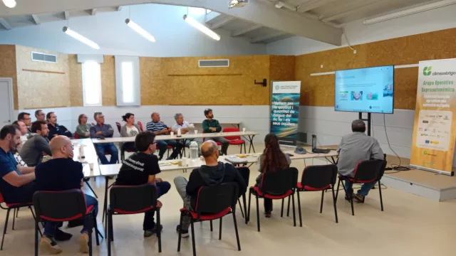 CLIMSOSTRIGO refuerza en el campo la innovación en trigo panificable frente al cambio climático