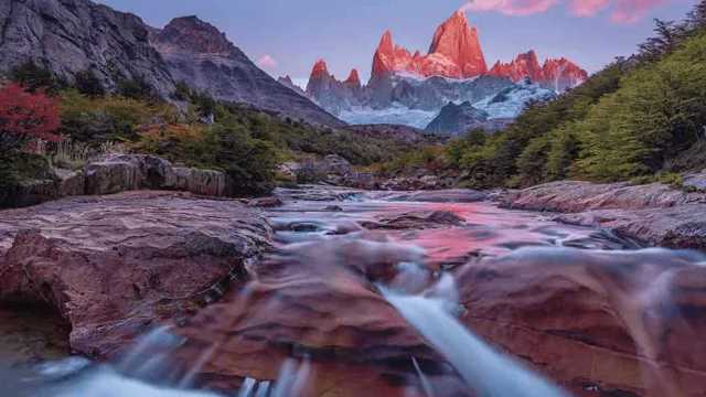 Buy Patagonia en USA: cómo el sur del mundo conquista Miami, Atlanta y Nueva York con turismo de lujo y aventura