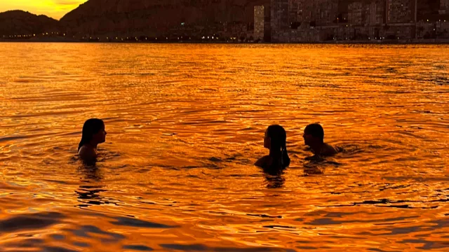 Delfinautica impulsa en Alicante una escuela náutica de formación real, seguridad y experiencias en el mar