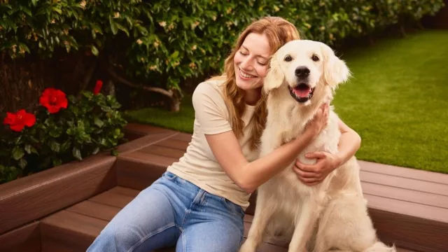 CaixaBank lanza MyBox Mascotas, un seguro para cubrir los gastos de animales domésticos