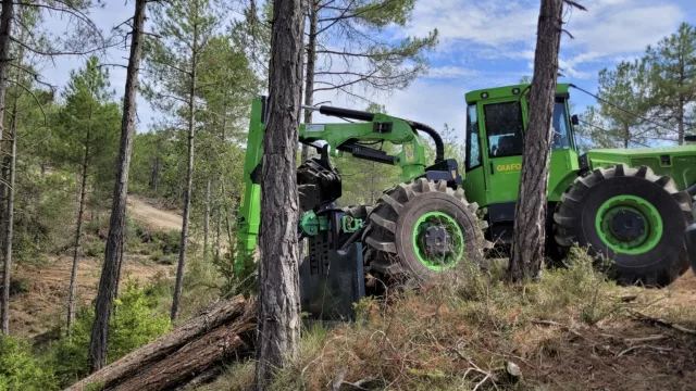Grup Boix destaca la gestión forestal como medida clave contra los grandes incendios