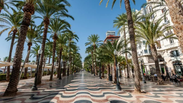 Digital Diggers abre una oficina en Alicante y lanza su sitio web en español