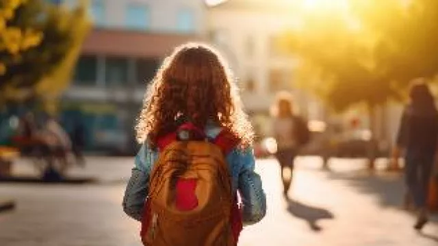 Las familias destinarán 198 euros de media a la «Vuelta al cole» por internet (un 9% más que el año pasado)