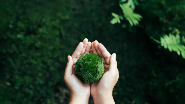 Startups por el Clima moviliza al ecosistema startup para acelerar soluciones frente a la emergencia climática