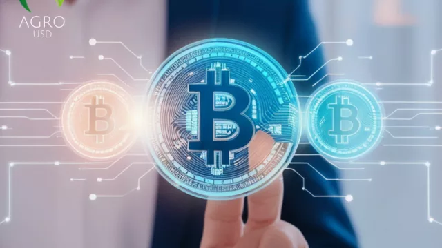 Agro USD apuesta por auditorías periódicas para reforzar la confianza en su stablecoin 
